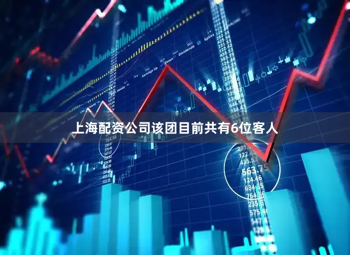 上海配资公司该团目前共有6位客人