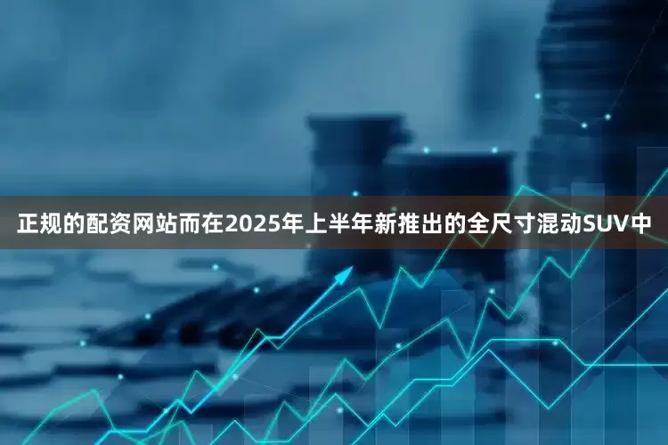 正规的配资网站而在2025年上半年新推出的全尺寸混动SUV中