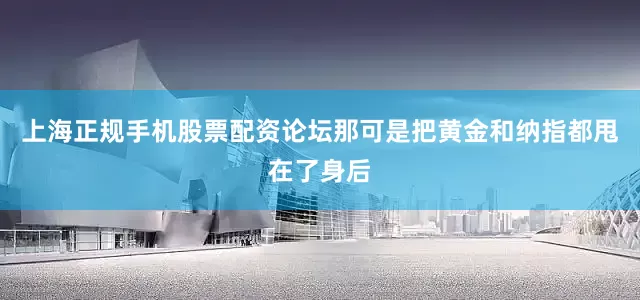 上海正规手机股票配资论坛那可是把黄金和纳指都甩在了身后