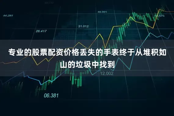 专业的股票配资价格丢失的手表终于从堆积如山的垃圾中找到