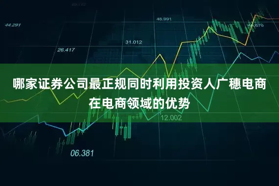 哪家证券公司最正规同时利用投资人广穗电商在电商领域的优势