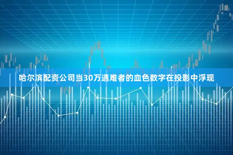 哈尔滨配资公司当30万遇难者的血色数字在投影中浮现